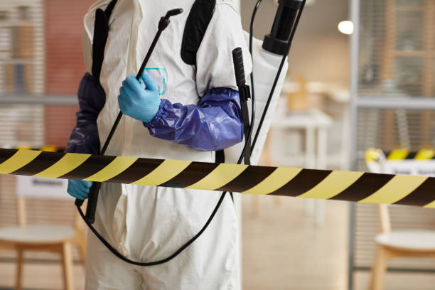 Professional Sewage Cleanup technician working in Glenvil, NE